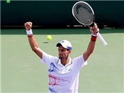 Bóng đá anh, ngoại hạng anh, lịch thi đấu euro 2012, Djokovic muốn làm điều mà cả Sampras, Ivan Lendl, Nadal, Federer chưa làm được 